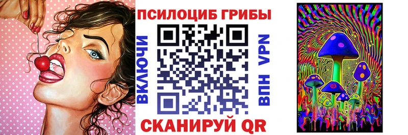 blacksprut маркетплейс  Приморск  Псилоцибиновые грибы Cubensis 